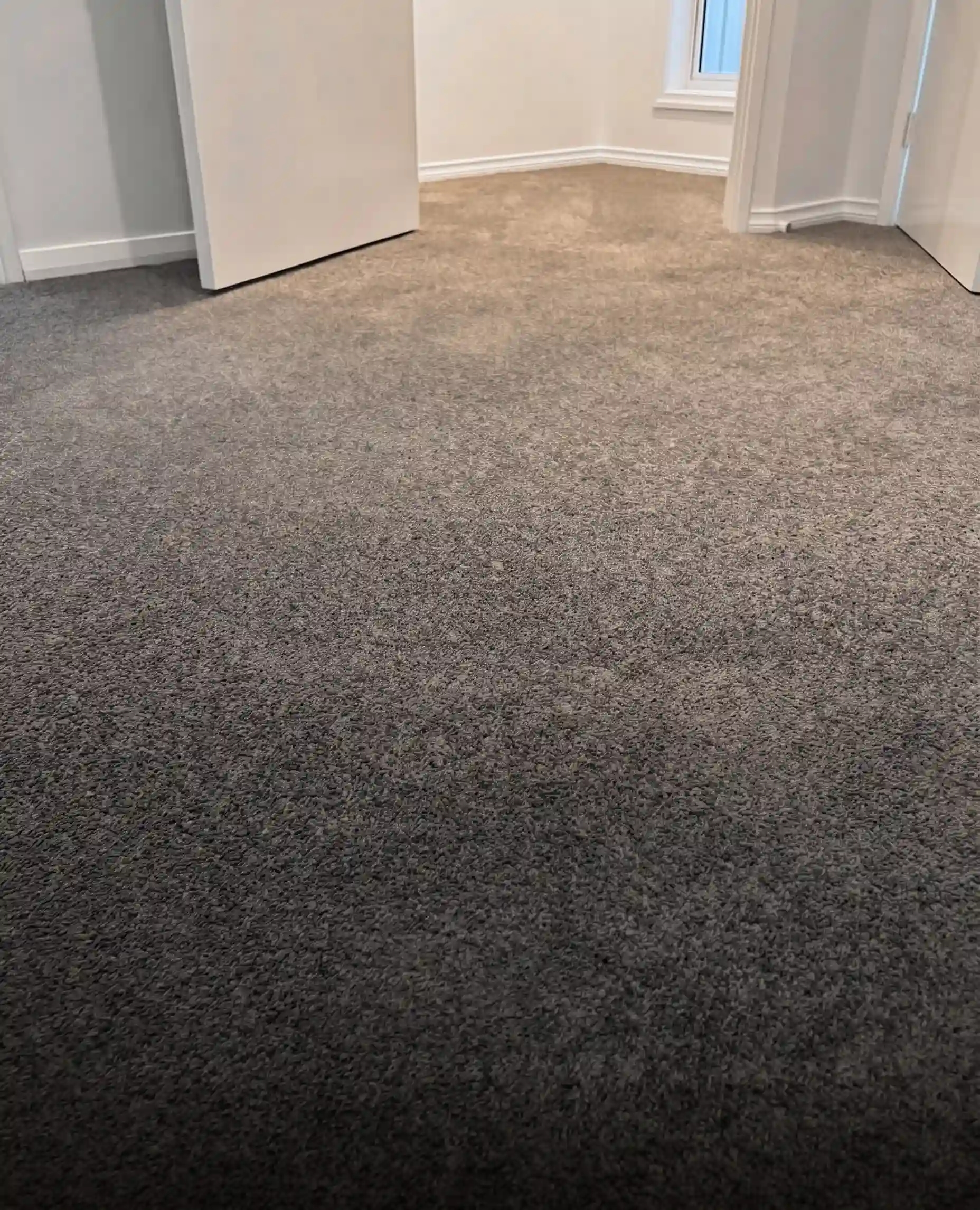 carpet tiles brisbane