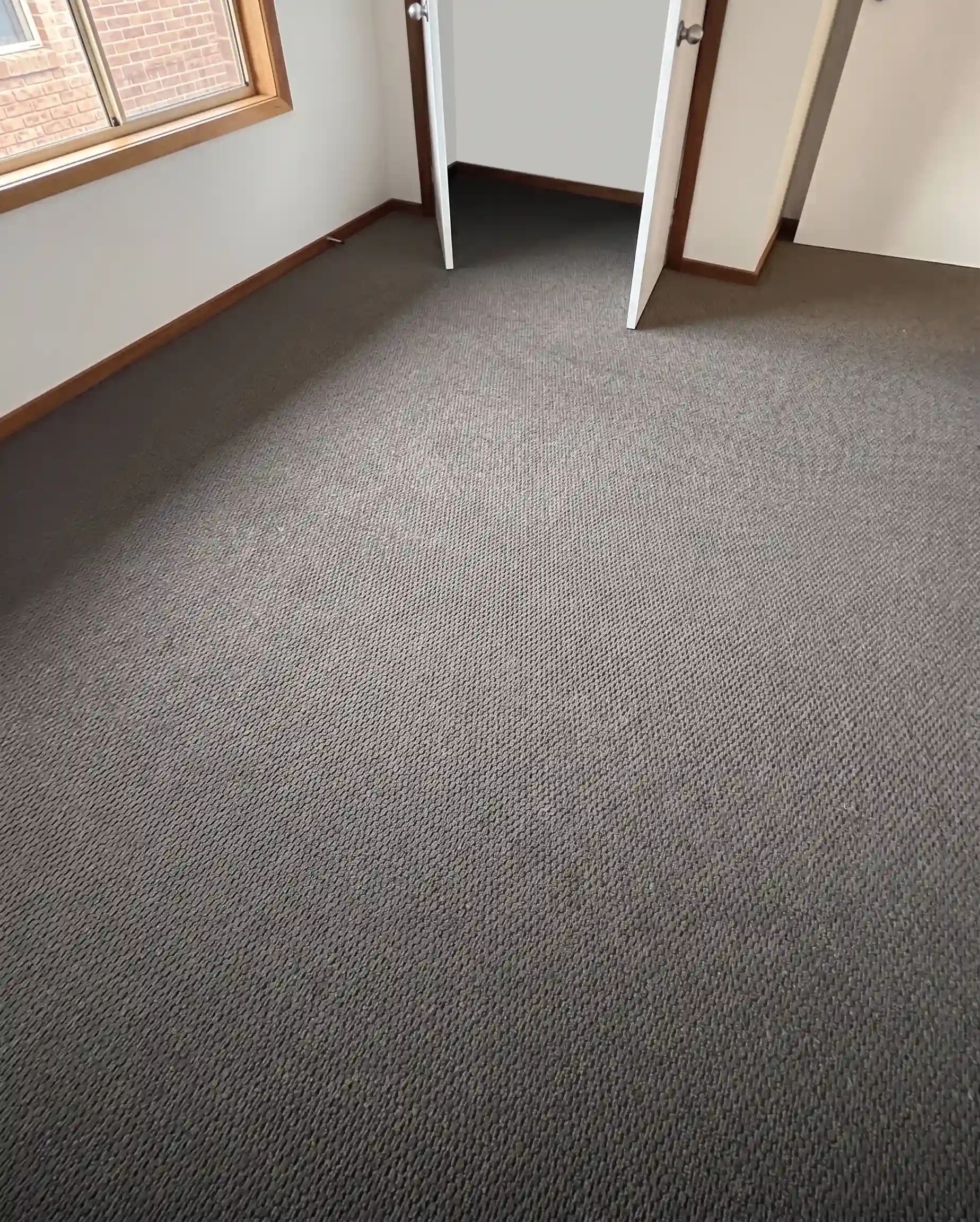 carpet installation in sydney