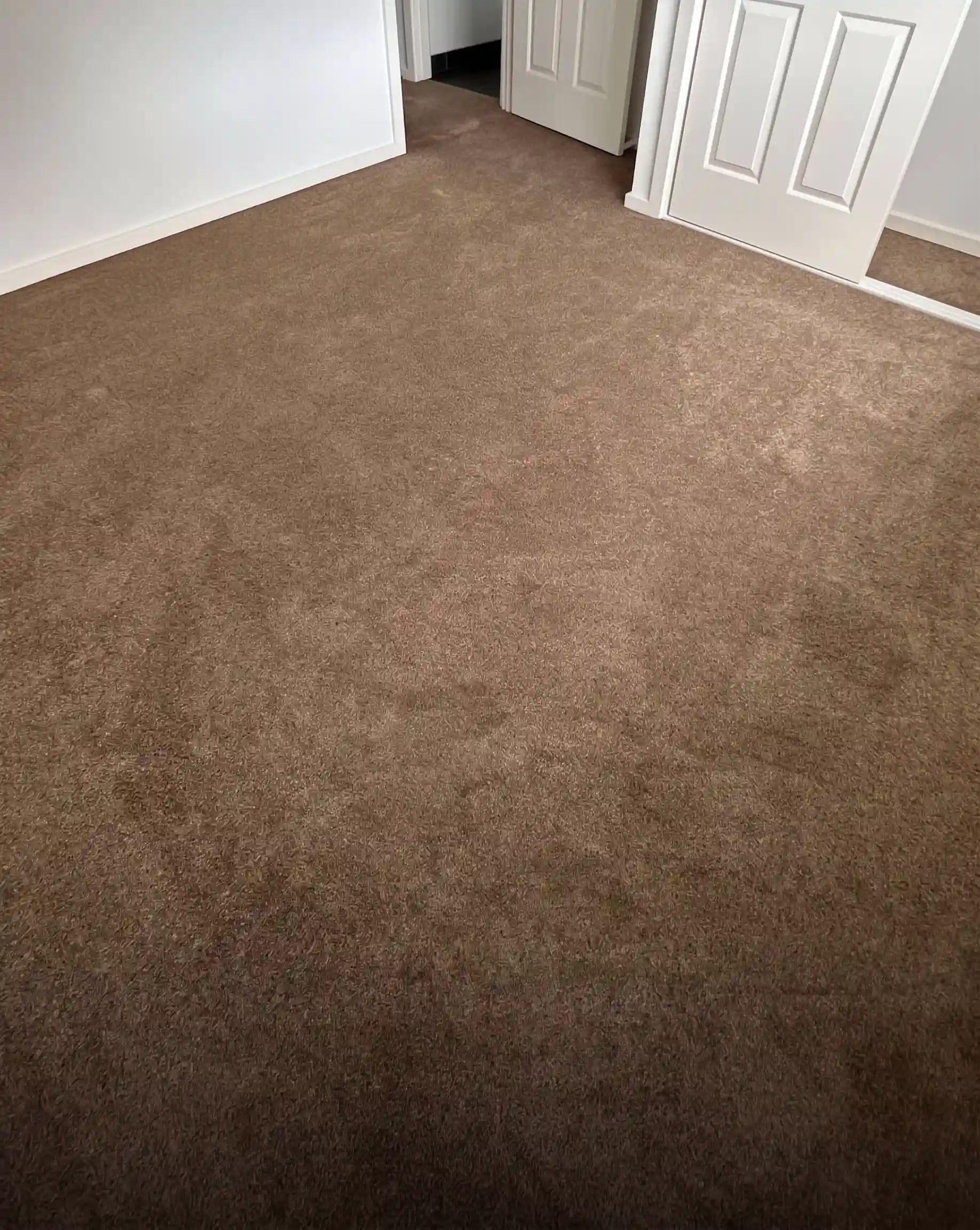 carpet installation perth