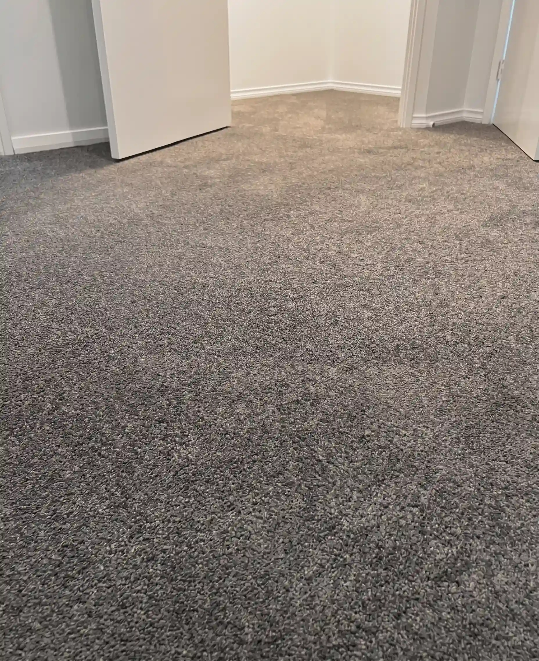 carpets installation in australia