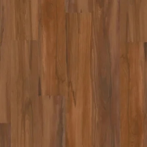 MI Plank