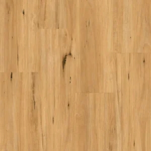 Ornato XXL 8.0mm