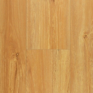 Pinaco Delication /Laminate — Kinawa