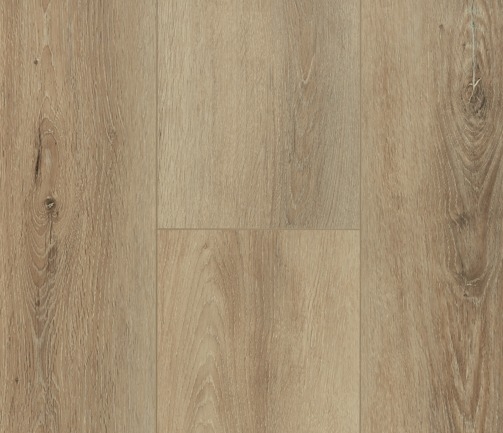 Pinaco Delication /Laminate — Diva