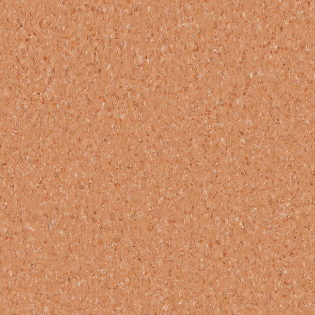 20241029P_Armstrong_Accolade2_Windorah_019_650x