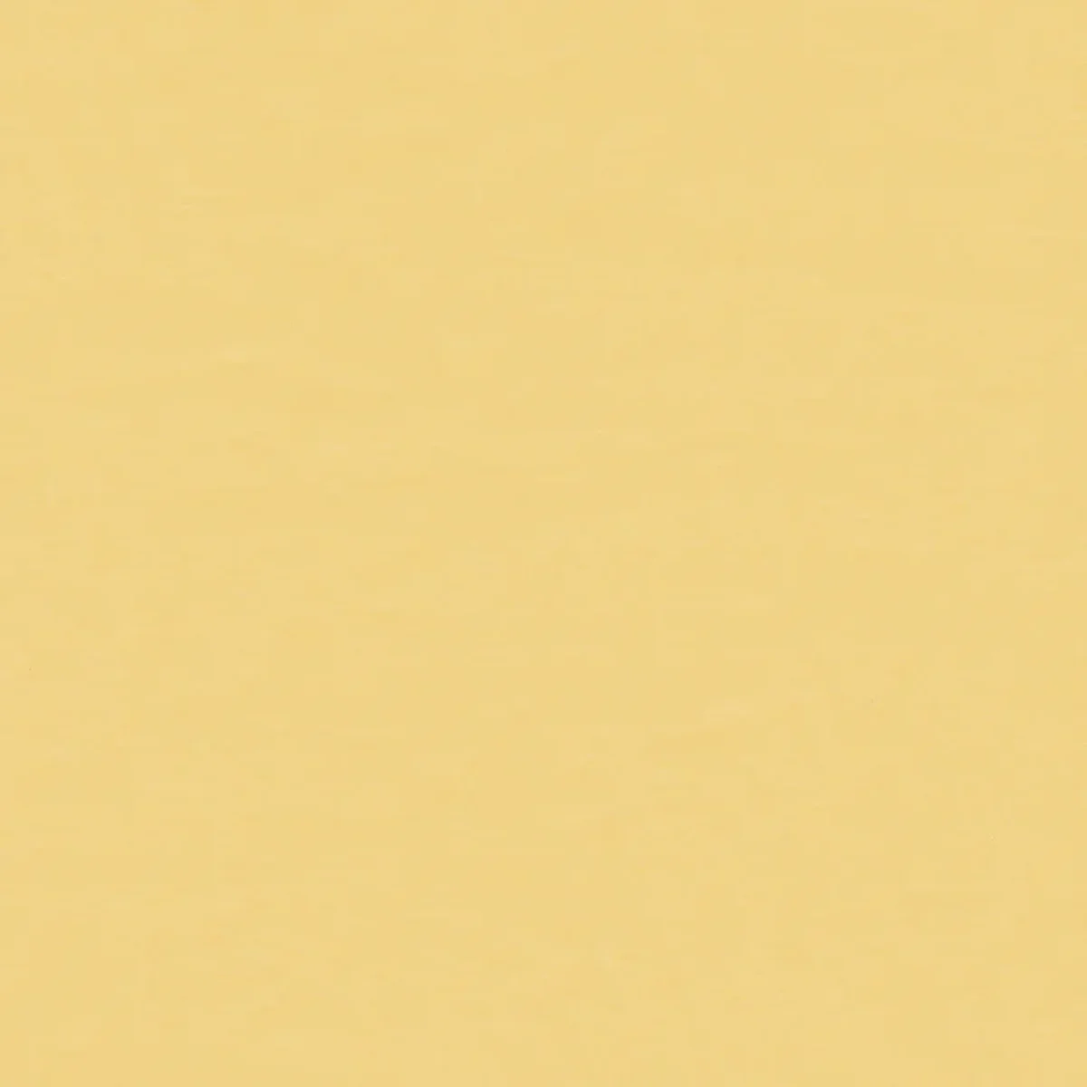 20240819P_ArmstrongFlooring_Wallflex-Dandelion_049_BIM-2000px_650x