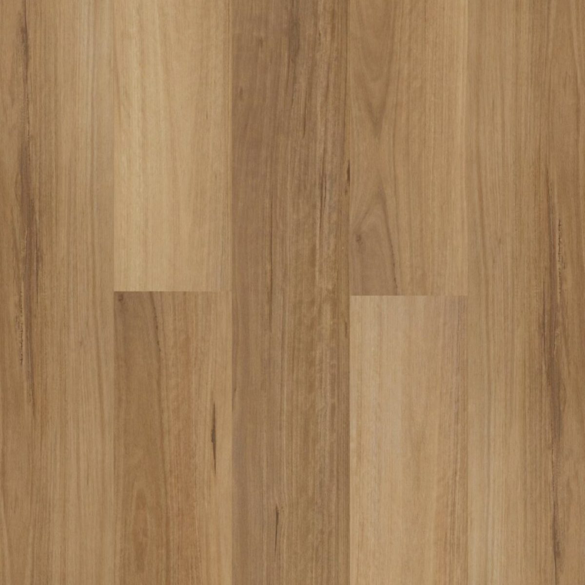 Blackbutt-XL-1024×1024 Blackbutt-XL-1024x1024