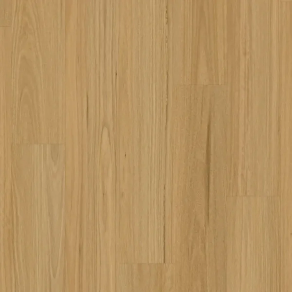 SLB-10-Swatch-Blackbutt-Light